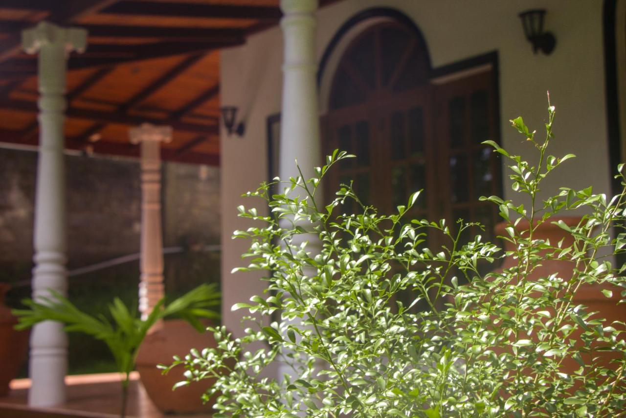 Jungle View Guesthouse Unawatuna Dış mekan fotoğraf